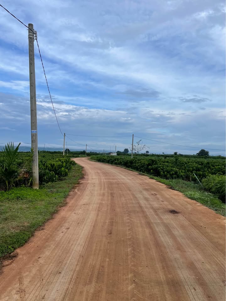 Đất nền Tân Hội Đức Trọng 3000m² giá 870 triệu - Đầu tư sinh lời ngay!