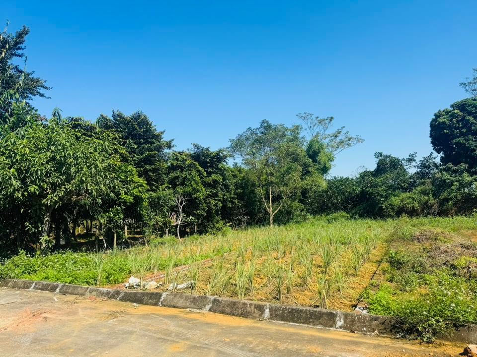 Đất nền Hòa Thạch Quốc Oai 168,8m² giá 1,688 tỷ - Cơ hội đầu tư tuyệt vời!