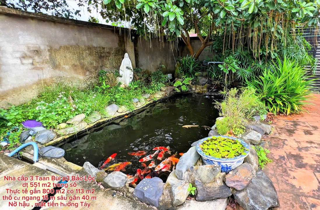 Biệt thự Tân Bùi Bảo Lộc 551m² giá 4.8 tỷ - Bán gấp, thương lượng nhẹ!