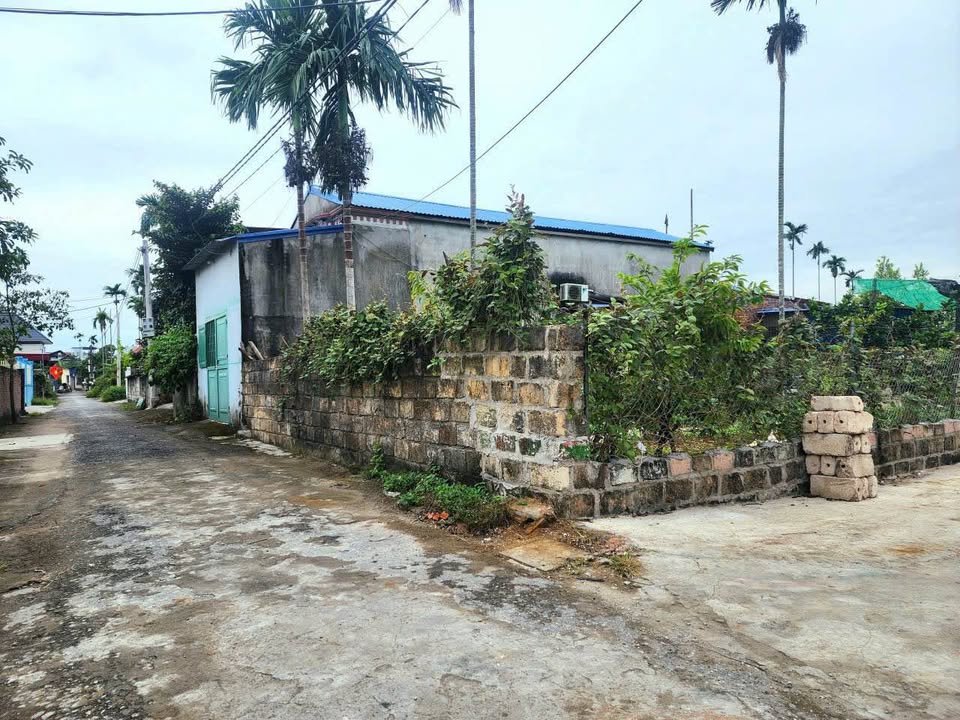 Đất lô góc 80m² tại Lâm Động, Thủy Nguyên - Giá chỉ 1 tỷ!