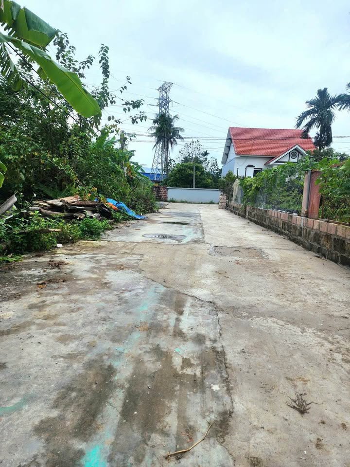 Đất lô góc Lâm Động, Thủy Nguyên 80m² giá chỉ 1 tỷ - Cơ hội đầu tư tuyệt vời!