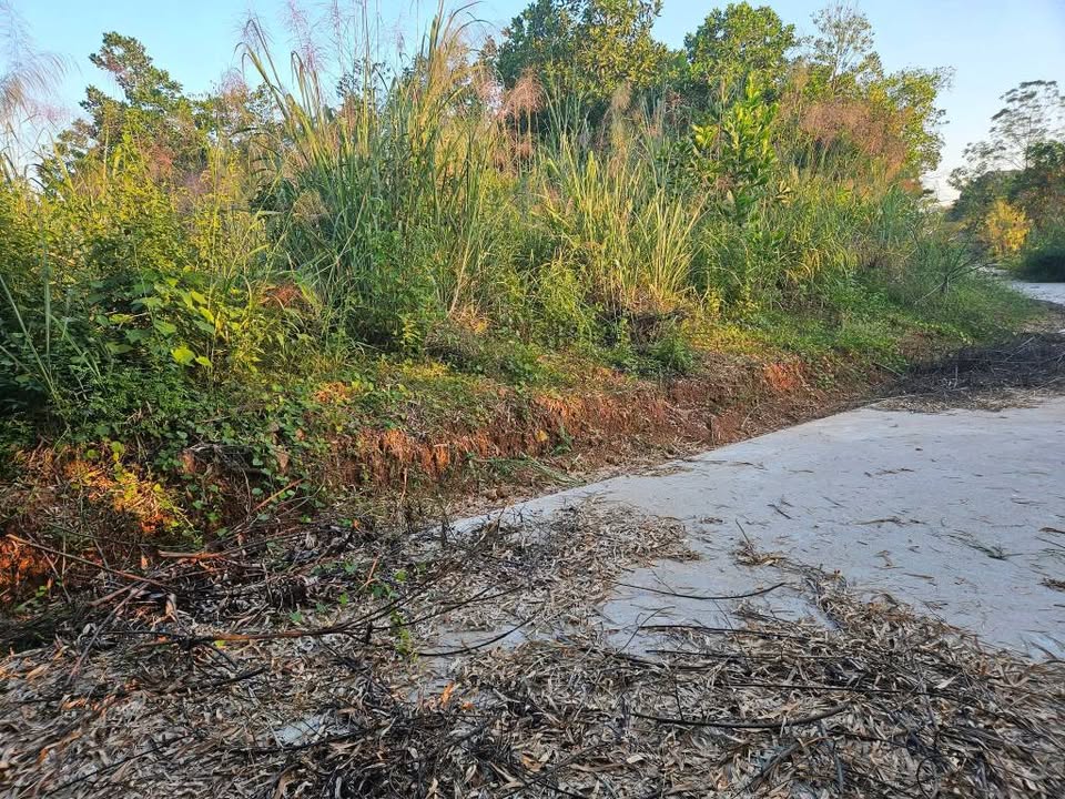 Đất thổ cư 180m² tại xóm Nam Thành, phường Quyết Thắng chỉ 980 triệu - Cơ hội đầu tư tốt!