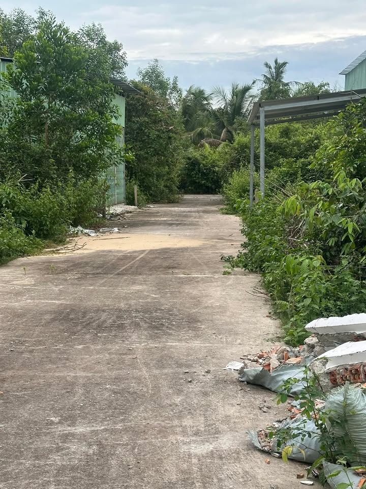 Đất nền Bến Tràm Phú Quốc 120m² giá chỉ 680 triệu - Sổ đỏ chính chủ, vị trí kết nối thuận tiện!