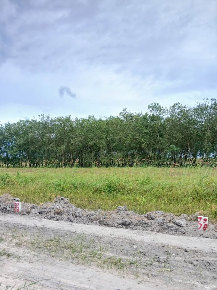 Đất nền Tân Phong, Tân Biên 200m² chỉ 99 triệu - Cơ hội đầu tư không thể bỏ lỡ!