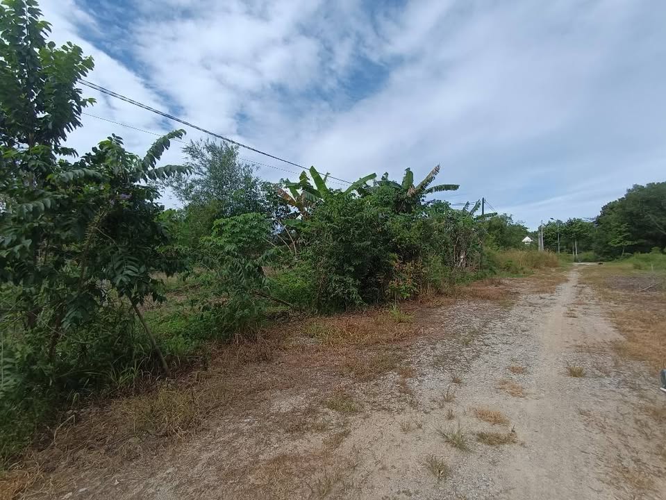 Đất nền Tiến Thành, Đồng Xoài 10.800m² - Mặt tiền 40m gần suối Tà Băng