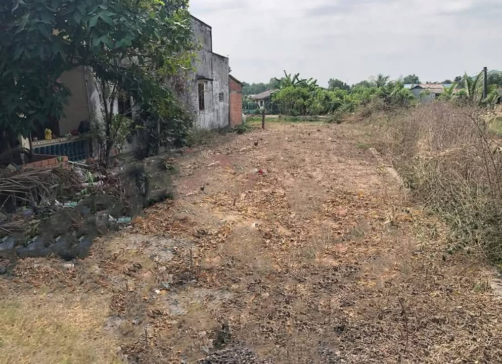 Đất thổ cư 200m² xã Bình Tịnh, Tân Trụ - Giá chỉ 1.199 tỷ, đầu tư sinh lời!