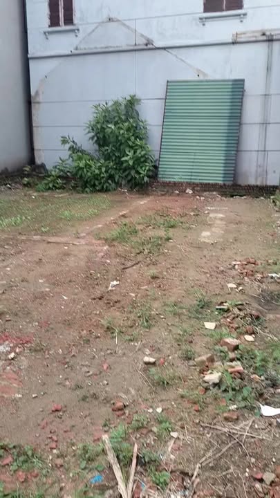 Đất nền Song Liễu, Thuận Thành, Bắc Ninh 100m² - Mặt tiền khủng 8m, giao thông thuận tiện!