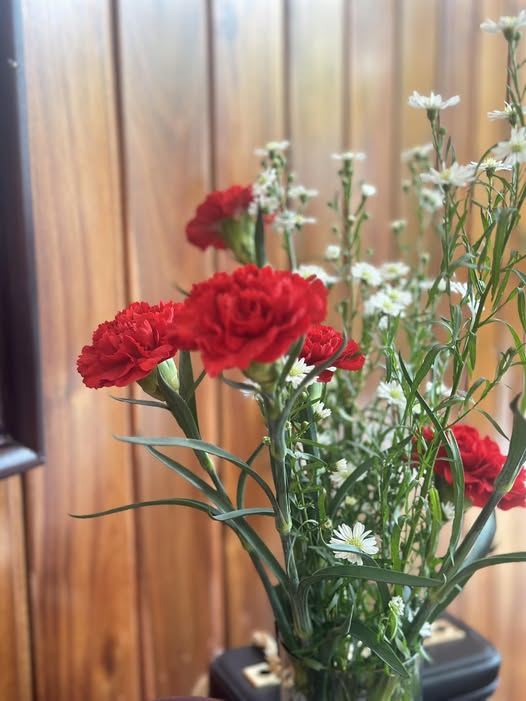 Đất nền TĐC P10 TP Vũng Tàu 75m² giá 7 tỷ - Sổ đỏ chính chủ ngay!