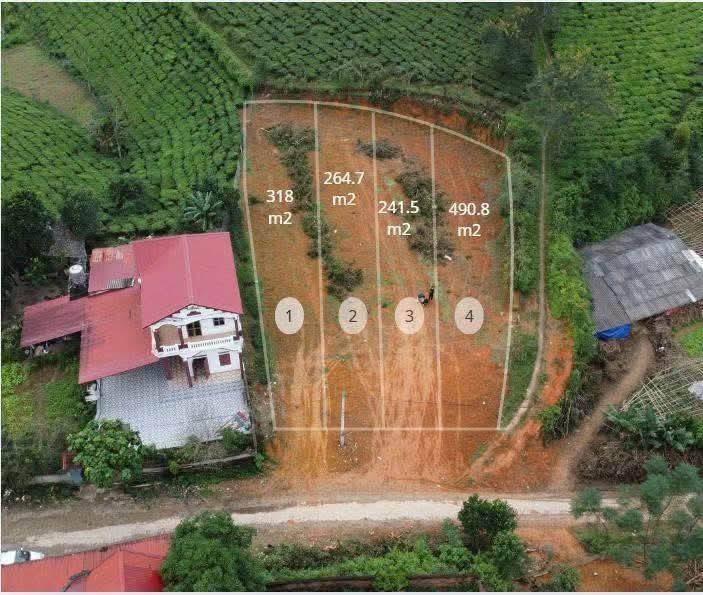 Đất nền Minh Đài Tân Sơn 1317m² chỉ 300 triệu - Cơ hội vàng đầu tư!