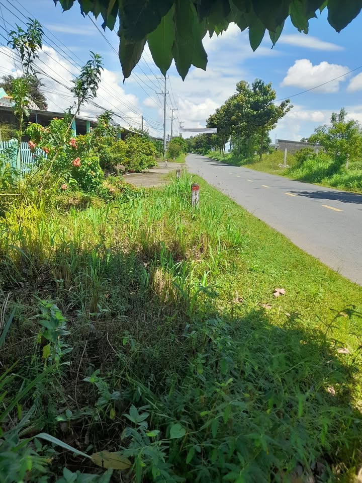 Đất mặt tiền Ấp 17, xã Long Hữu, Duyên Hải 588m² - Giá 5.88 tỷ, gần sân banh!