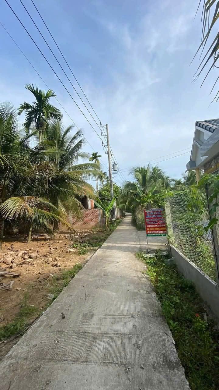 Đất nền biệt thự Lương Hòa, Giồng Trôm 503m² - Sổ đỏ chính chủ, giá 320 triệu