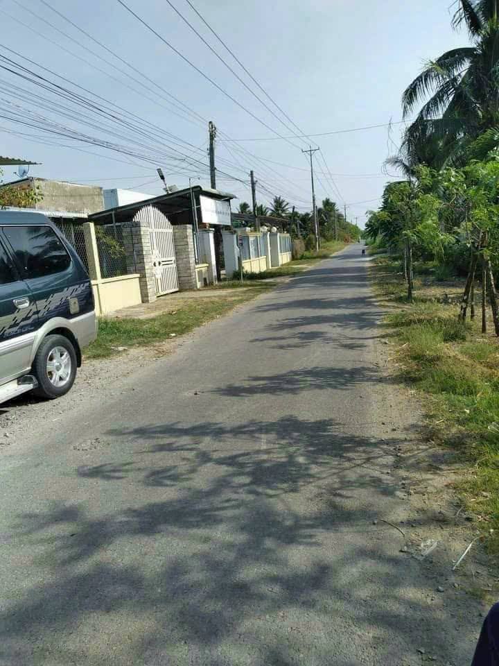 Đất nền Phong Nẫm, Giồng Trôm 900m² giá chỉ 1.35 tỷ - Cơ hội đầu tư tuyệt vời!