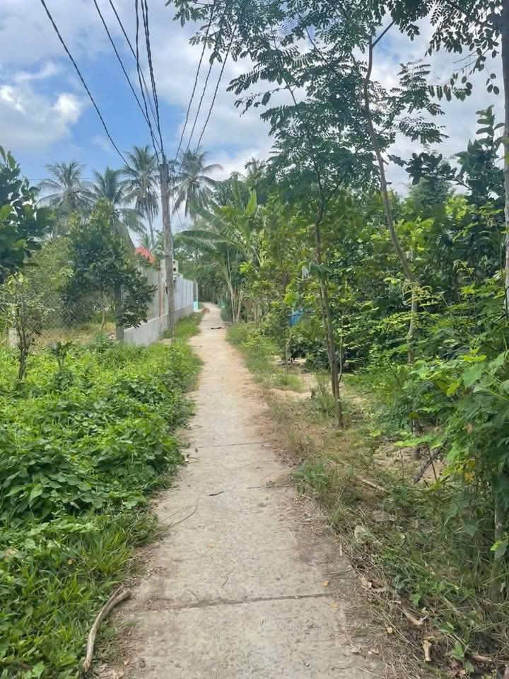 Đất nền Tiên Thủy, Châu Thành 850m² chỉ 450 triệu - Cơ hội đầu tư tuyệt vời!