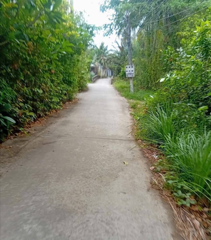 Đất Tân Thạch, Châu Thành 1250m² giá 650 triệu - Cơ hội đầu tư hấp dẫn!