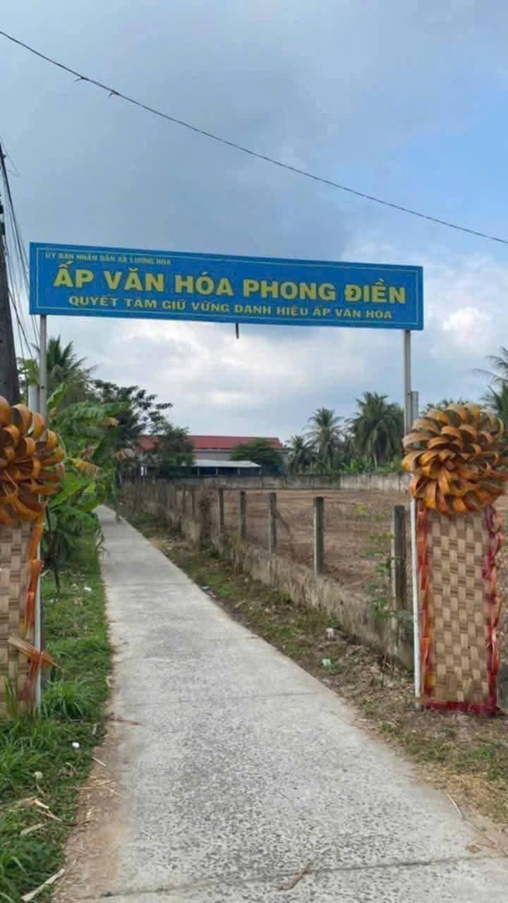 Đất vườn 19000m² Lương Hòa, Giồng Trôm - Giá chỉ 450 triệu, cơ hội đầu tư tuyệt vời!