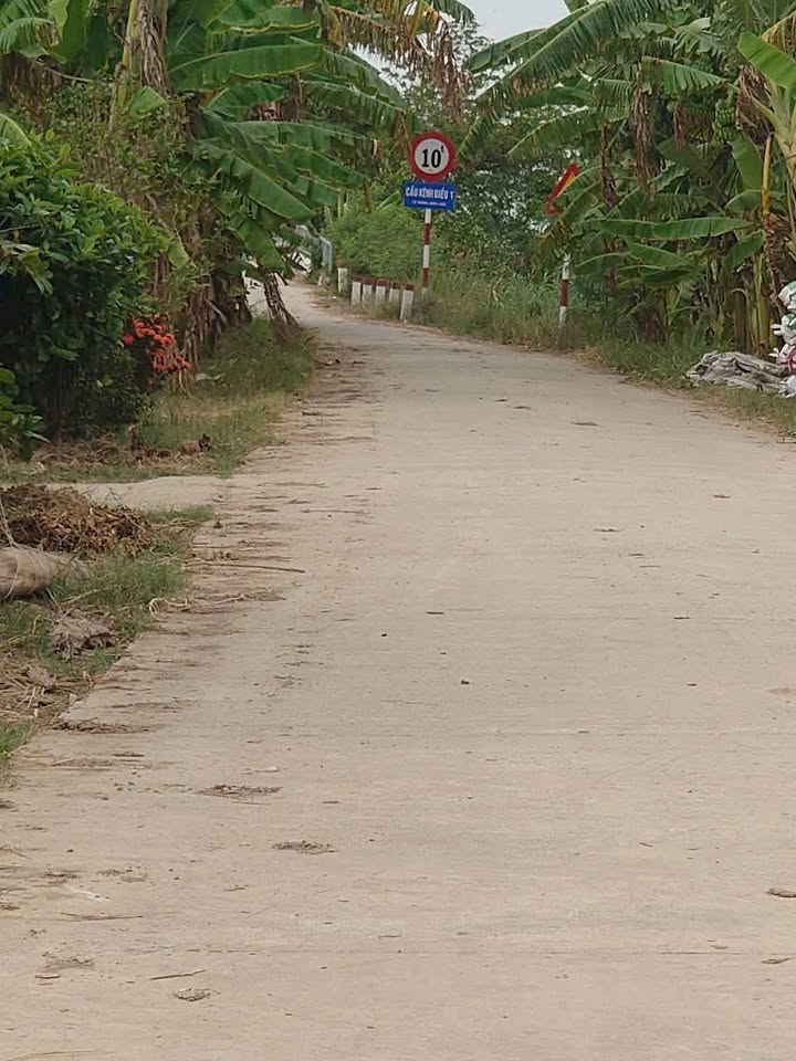 Đất nền Tân Xuân, Ba Tri 620m² chỉ 230 triệu - Sổ đỏ chính chủ