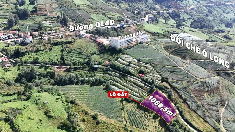 Đất thổ cư Ô Quý Hồ Sa Pa 1100m² giá 2 tỷ - Cơ hội đầu tư tuyệt vời!