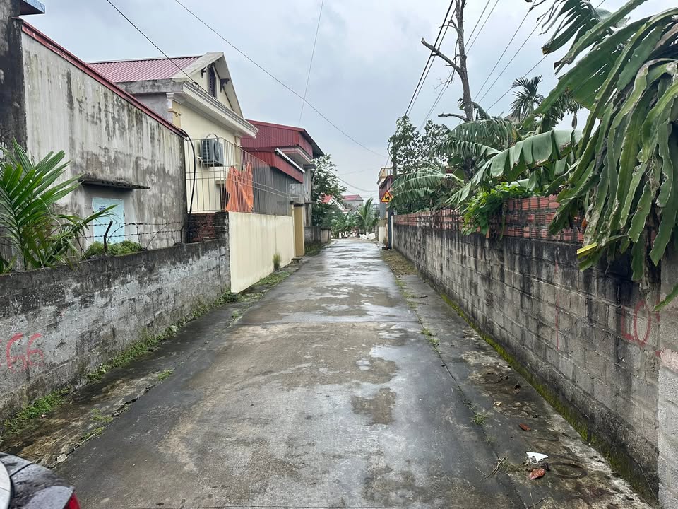 Đất nền Minh Đức Tứ Kỳ 145m² giá 650 triệu - Sổ đỏ chính chủ, đầu tư sinh lời!