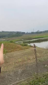 Đất đẹp Tu Vũ, Thanh Thủy 304m² giá 1.7 tỷ - Sổ đỏ chính chủ, thương lượng!