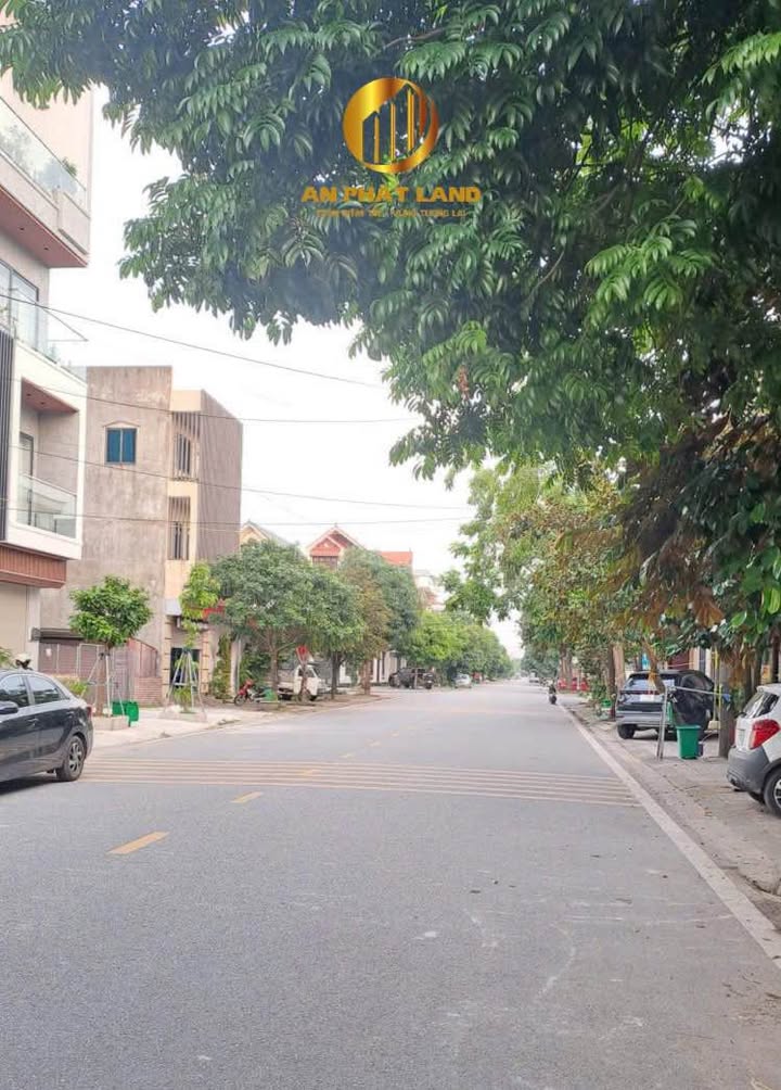 Nhà 1 tầng mặt đường Bích Đào, 100m² - Kinh doanh sầm uất, giá thỏa thuận!