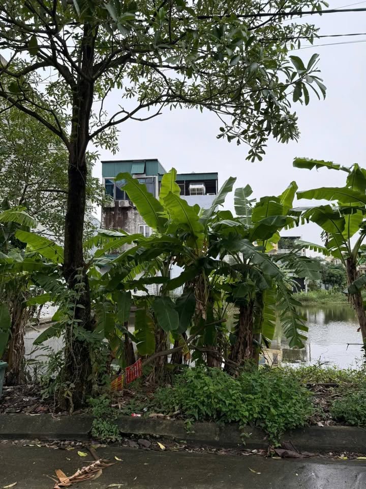 Đất nền Ninh Tiến, Ninh Bình 95m² giá 5 tỷ - Đầu tư sinh lời hấp dẫn!