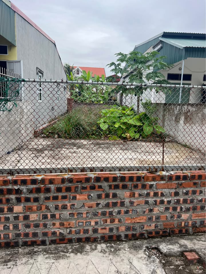 Đất nền thôn Gia Cốc, xã Tứ Cường, 110m² chỉ 1.5 tỷ - Cơ hội đầu tư tuyệt vời!