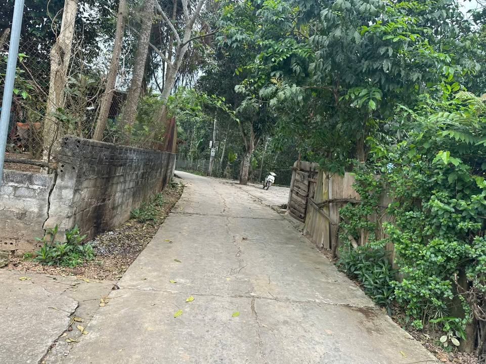 Đất thổ cư 450m² tại Thôn Tả Hà 2, Lào Cai giá chỉ 8 tỷ - Cơ hội đầu tư hấp dẫn!