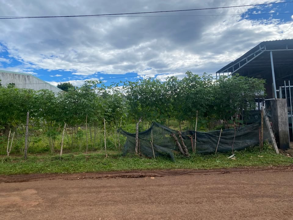 Đất nền hẻm chính Nguyễn Chí Thanh, 300m² giá 1.2 tỷ - Bán gấp!