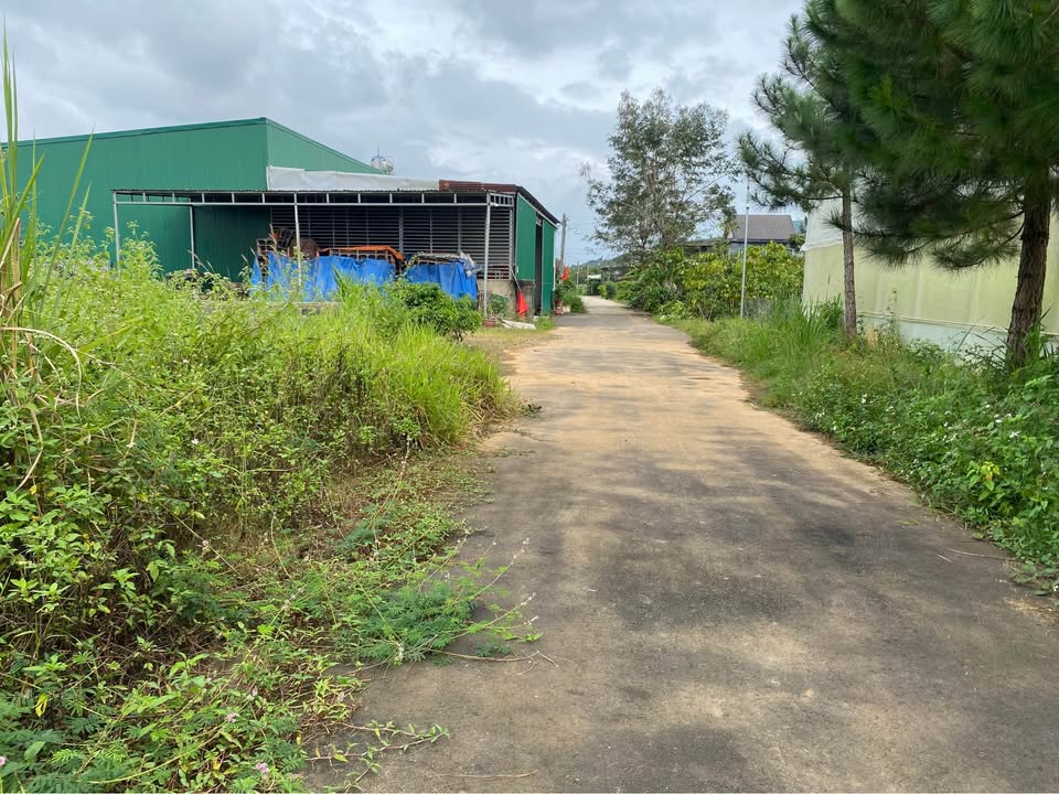 Đất Bảo Lộc 749m² giá 2.55 tỷ - Cơ hội đầu tư tuyệt vời!