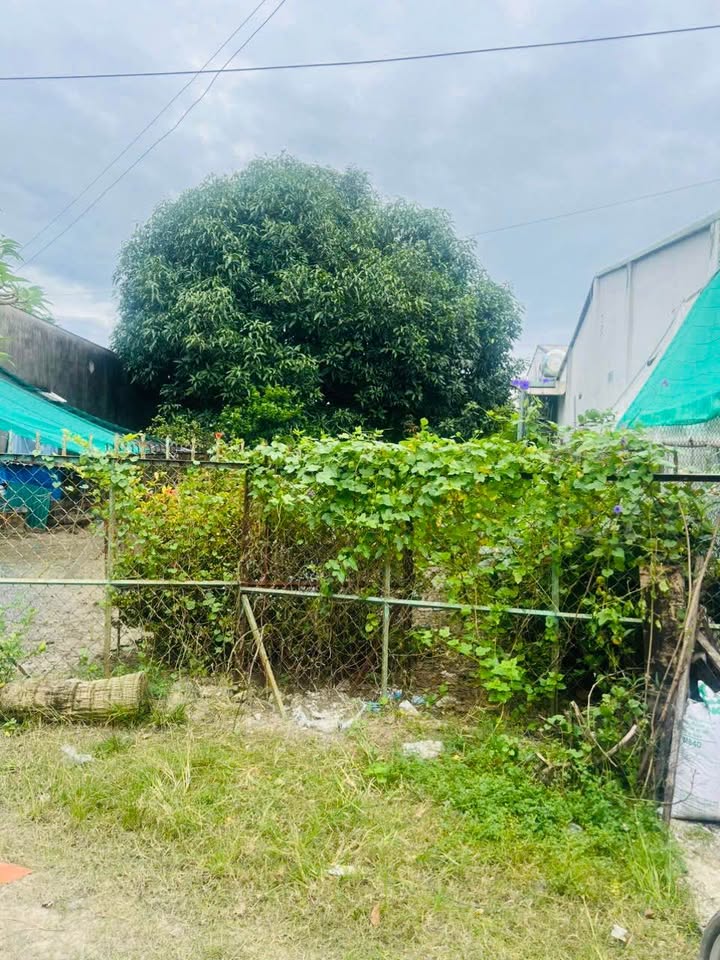 Đất Bàu Năng Dương Minh Châu 210m² giá 2.1 tỷ - Chính chủ bán gấp!