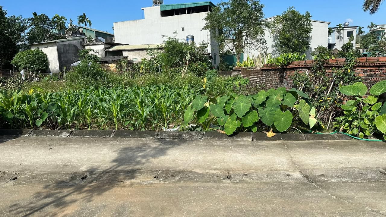 Đất thổ cư Tiến Xuân 75m² giá thỏa thuận - Vị trí tiềm năng cho đầu tư!