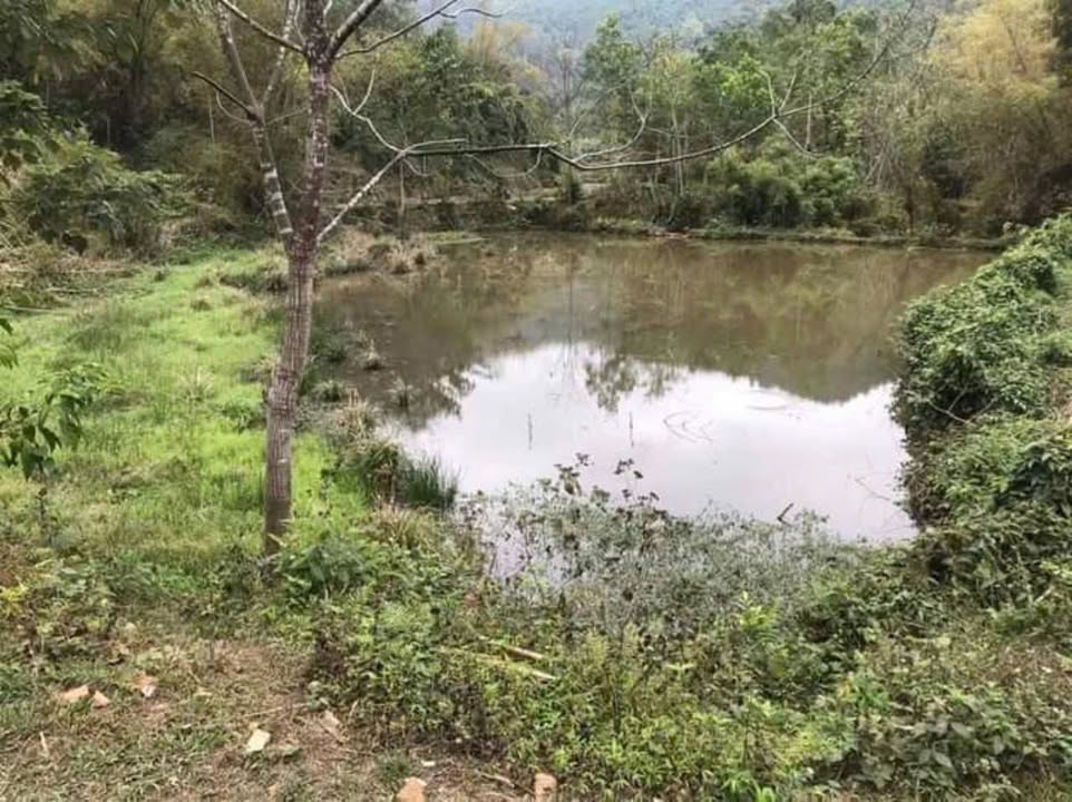 Đất nền Nguyên Phúc Bắc Kạn 12000m² - Chính chủ bán, ô tô vào tận nơi!