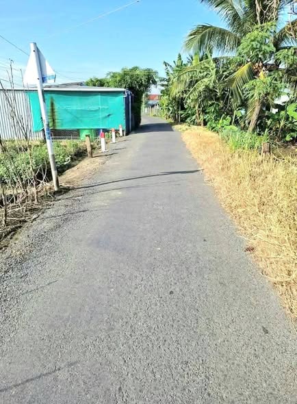 Đất nền Tân Đông Gò Công Đông 300m² giá 490 triệu - Đường nhựa rộng rãi!