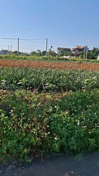 Đất nền Tây Sơn, Tam Điệp 129m² giá 1.4 tỷ - Tiềm năng đầu tư lớn!