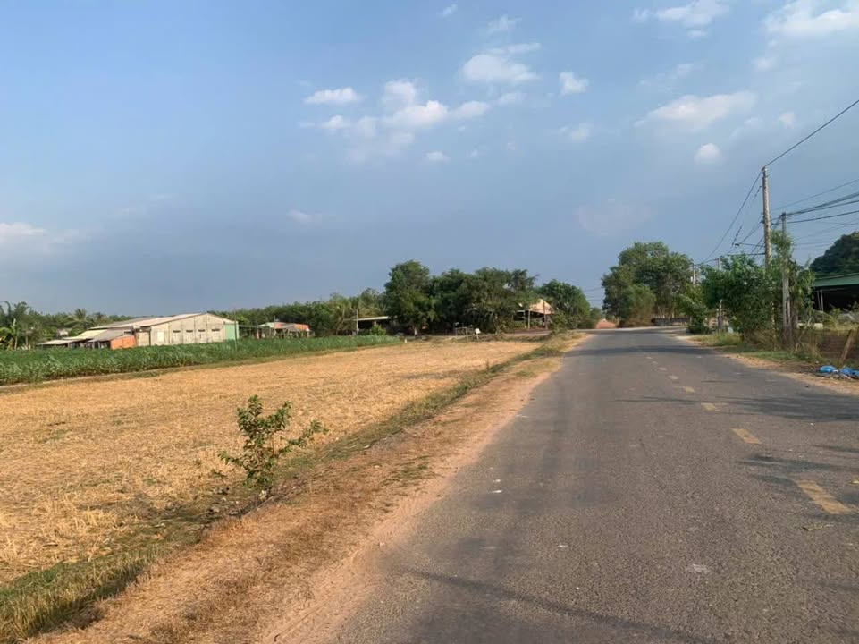 Đất nền Ninh Điền, Châu Thành 90m² giá siêu rẻ - Cơ hội đầu tư tuyệt vời!