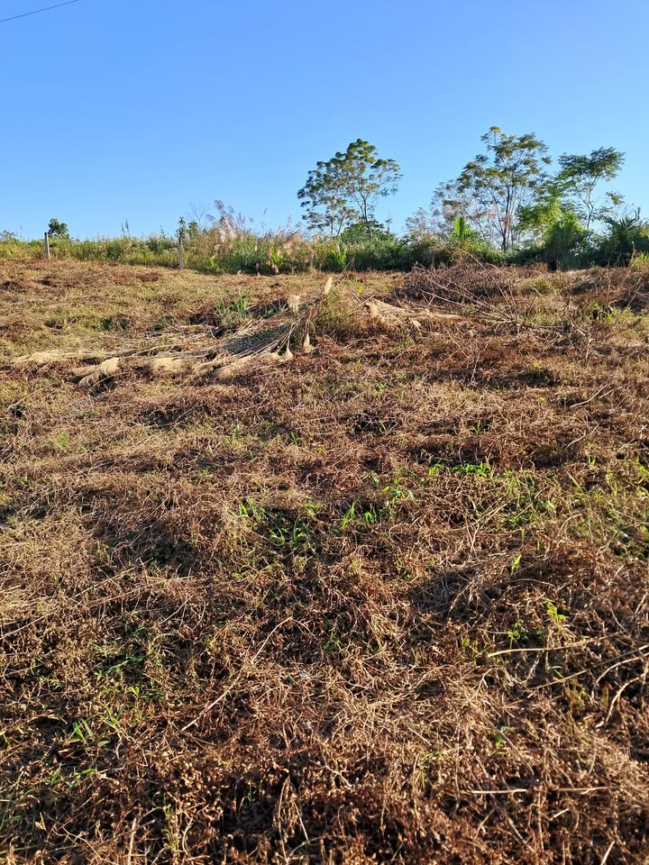 Đất nền Phúc Trìu Thái Nguyên 400m² giá 1 tỷ - Đầu tư sinh lời ngay!