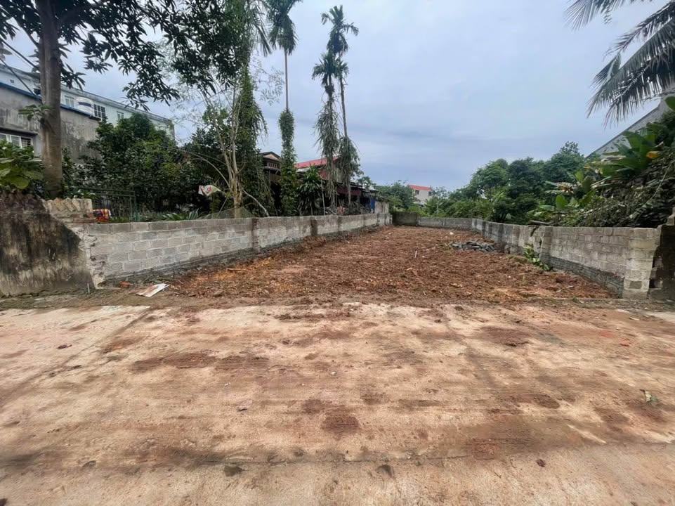 Đất thổ cư chính chủ phường Quyết Thắng, Thái Nguyên - Diện tích 128m² và 118m², giá thương lượng hấp dẫn!