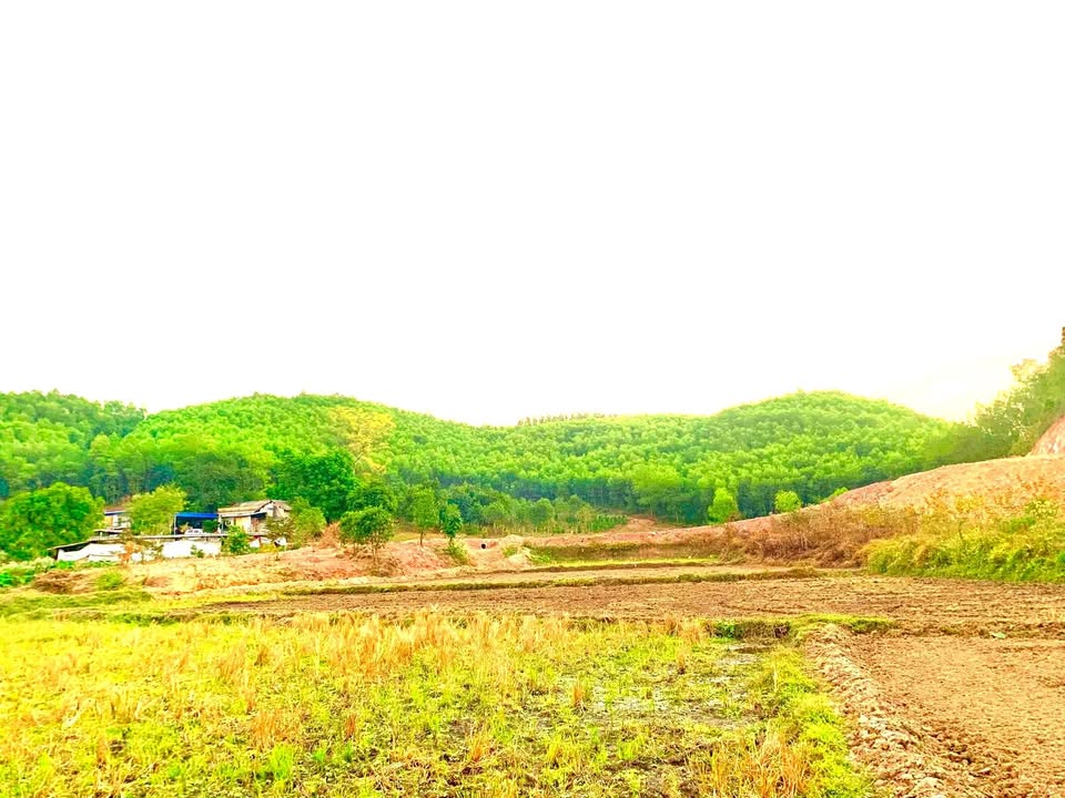 Đất Farm Phúc Tân, Phổ Yên 33,000m² giá 2.2 tỷ - Cơ hội đầu tư hấp dẫn!