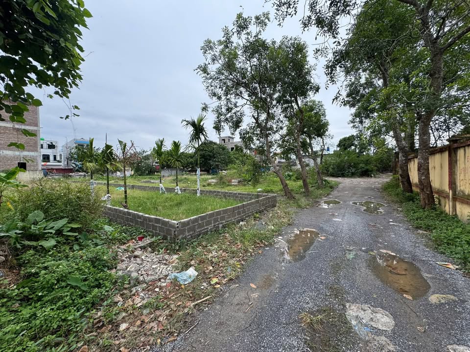 Đất nền Liên Phương Hưng Yên 187m² giá 3.5 tỷ - Gần chợ và trường học!