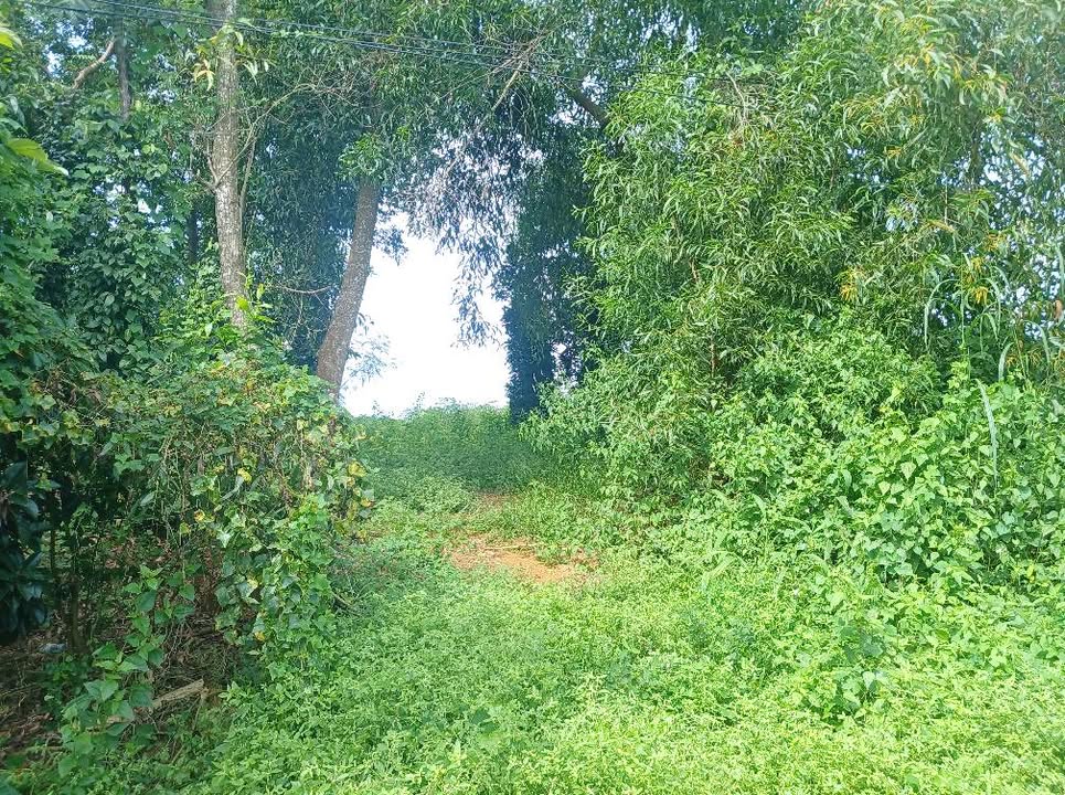 Đất nền Suối Rao, Châu Đức 1,9 sào giá 1,5 tỷ - Đầu tư sinh lời ngay!