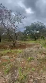 Đất nền Bù Gia Mập 800m² chỉ 850 triệu - Cơ hội đầu tư tuyệt vời!