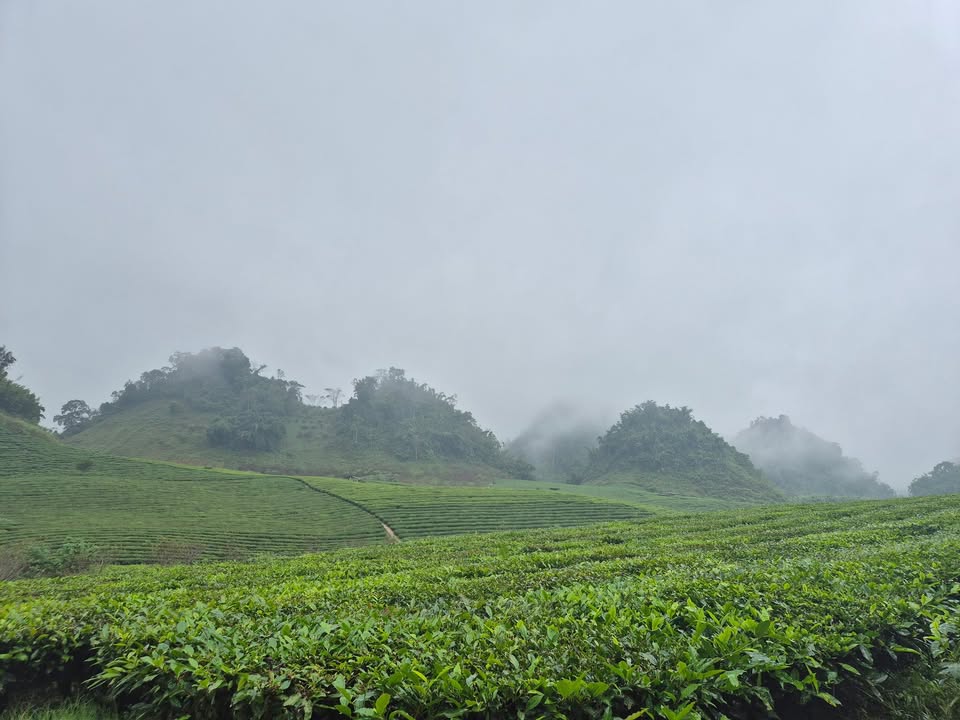 Đất thổ cư mặt đường Tỉnh lộ 104, Mộc Châu 4200m² giá chỉ 8.22 tỷ - Cơ hội đầu tư tuyệt vời!