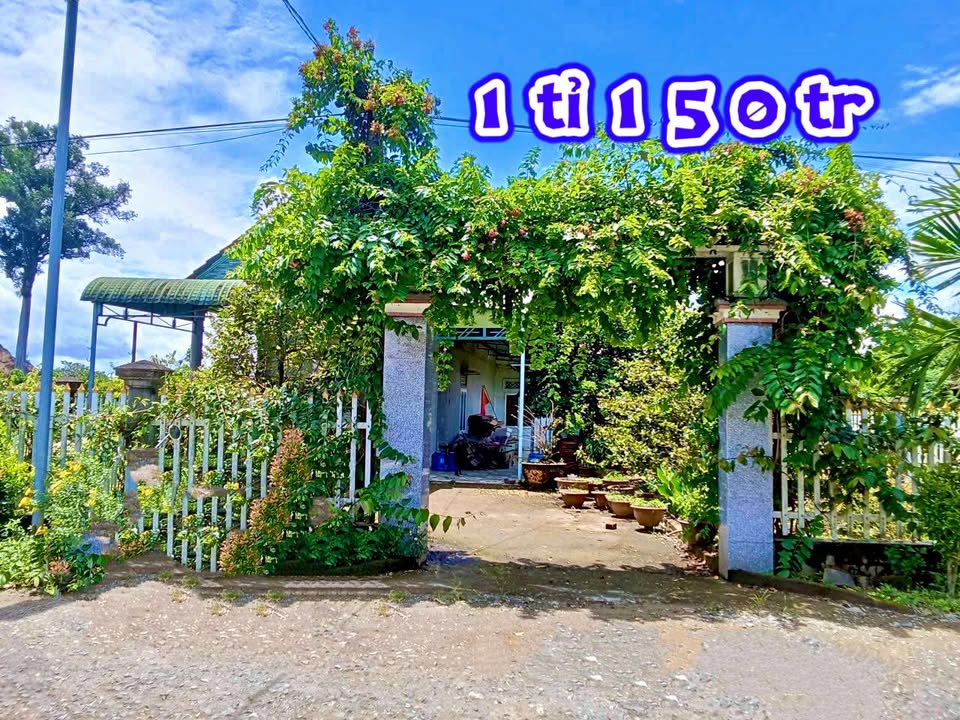 Farm Đà Lây, Đạ Tẻh 1344m² giá 1.15 tỷ - Cơ hội đầu tư tuyệt vời!