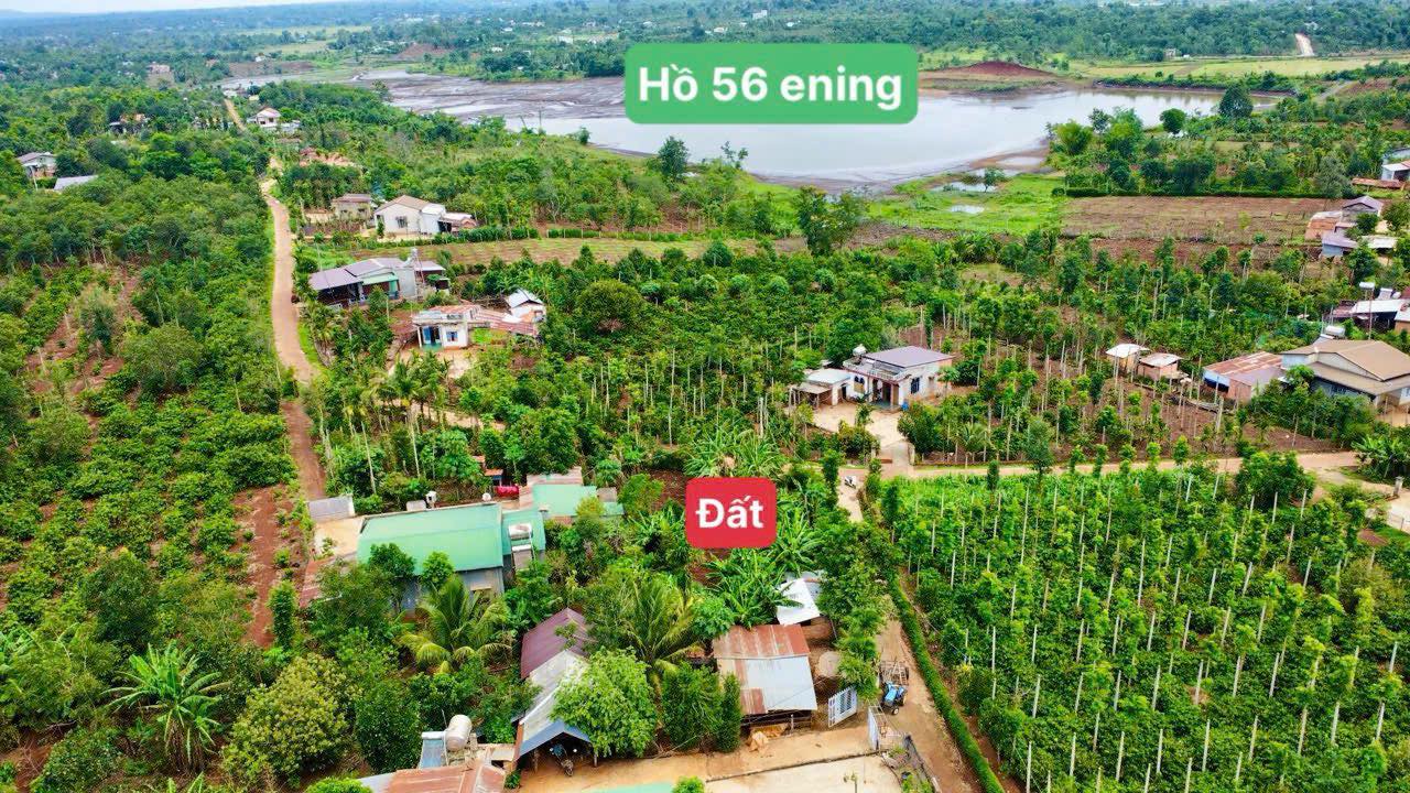 Đất thổ cư 198m² tại Ea Ning, Cư Kuin chỉ 238 triệu - Cơ hội đầu tư tuyệt vời!