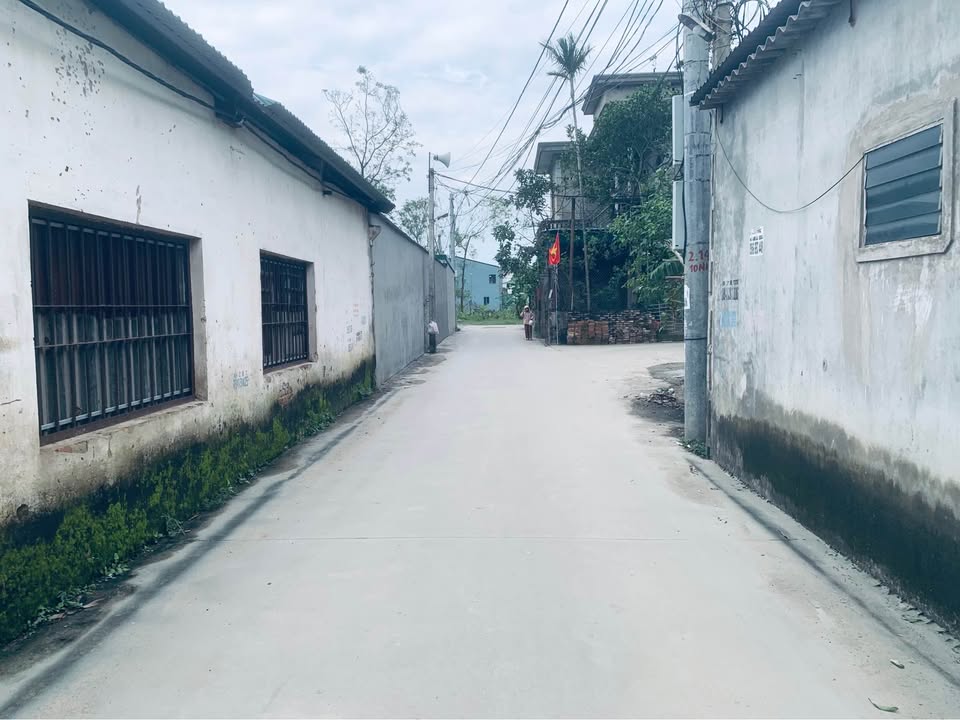 Đất nền xã Nghi Kim 100m² giá 2.4 tỷ - Vị trí đắc địa gần trung tâm!