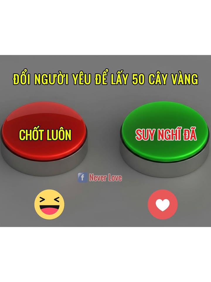 Đất nền Thanh Phú Long Châu Thành 3500m² giá 289 triệu - Cơ hội đầu tư hấp dẫn!