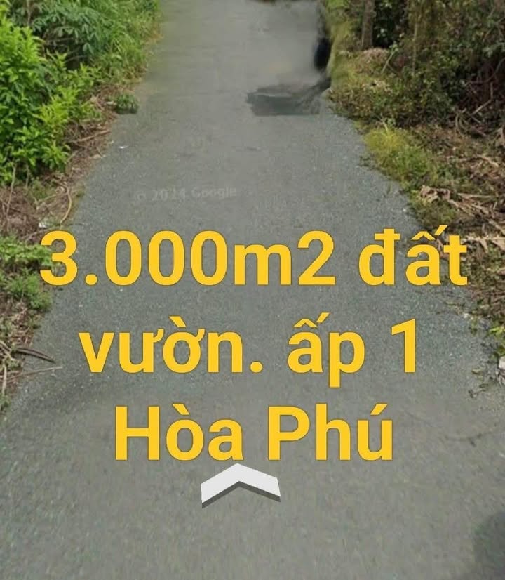 Đất vườn Hòa Phú Châu Thành 3000m² giá 3 tỷ - Mặt tiền đan nhựa thuận lợi đầu tư