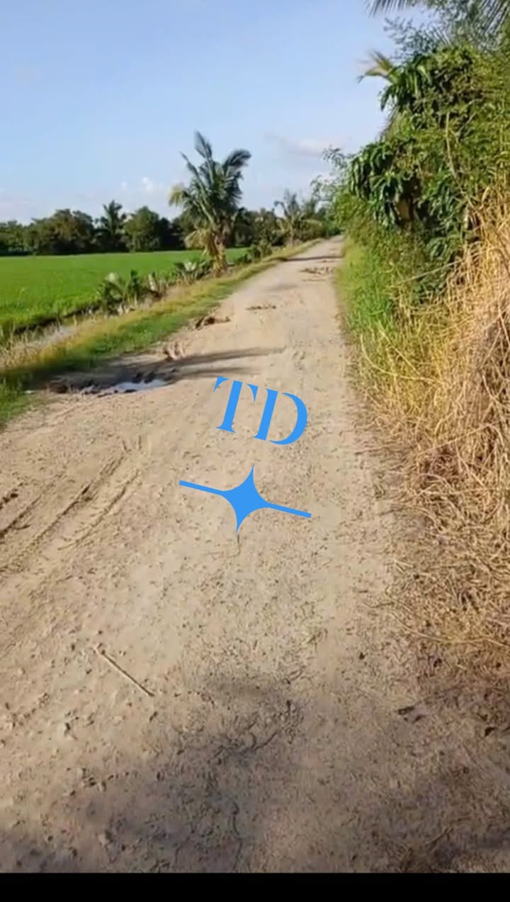 Đất mặt tiền đường đá 4m tại Tân Công Sính, Tam Nông 1000m² giá 120 tỷ - Cơ hội đầu tư hấp dẫn!