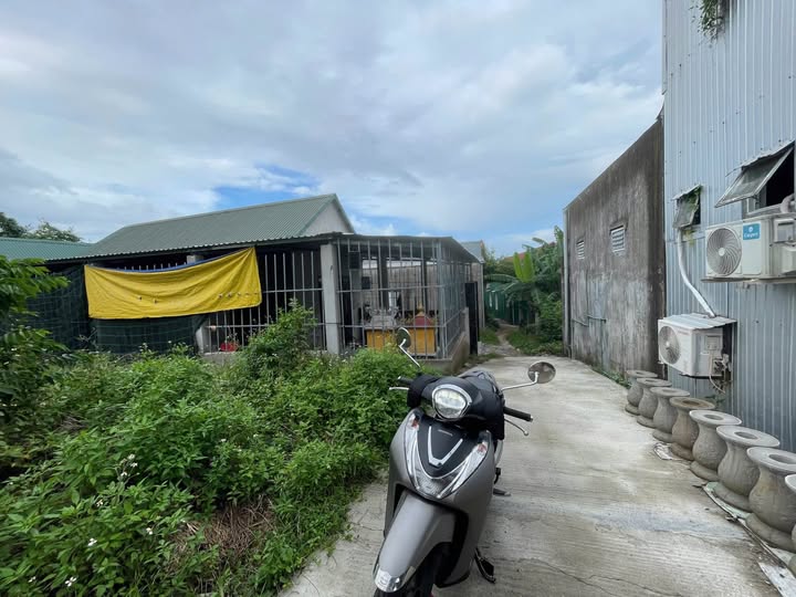 Đất Thủy Phương Hương Thủy 98,6m² giá 800 triệu - Cơ hội đầu tư sinh lời!