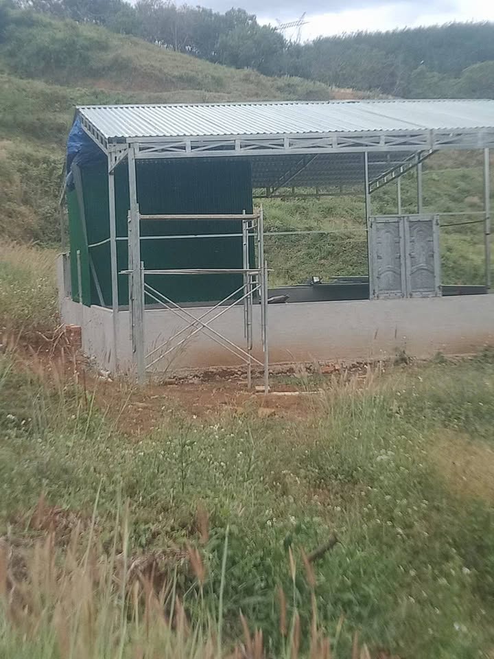 Farm 7ha xã Phú Sơn, Bù Đăng - Giá chỉ 7.7 tỷ, cơ hội đầu tư hấp dẫn!